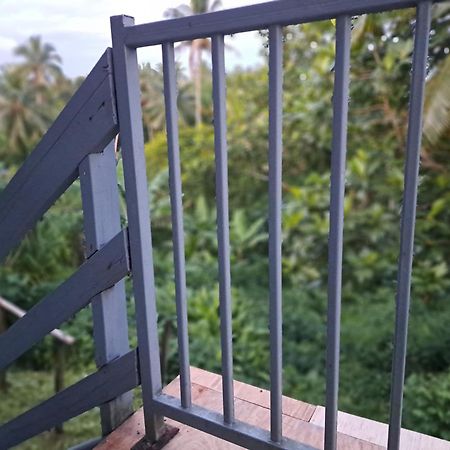 スバ Tropical Almond Haven Bed & Breakfast エクステリア 写真