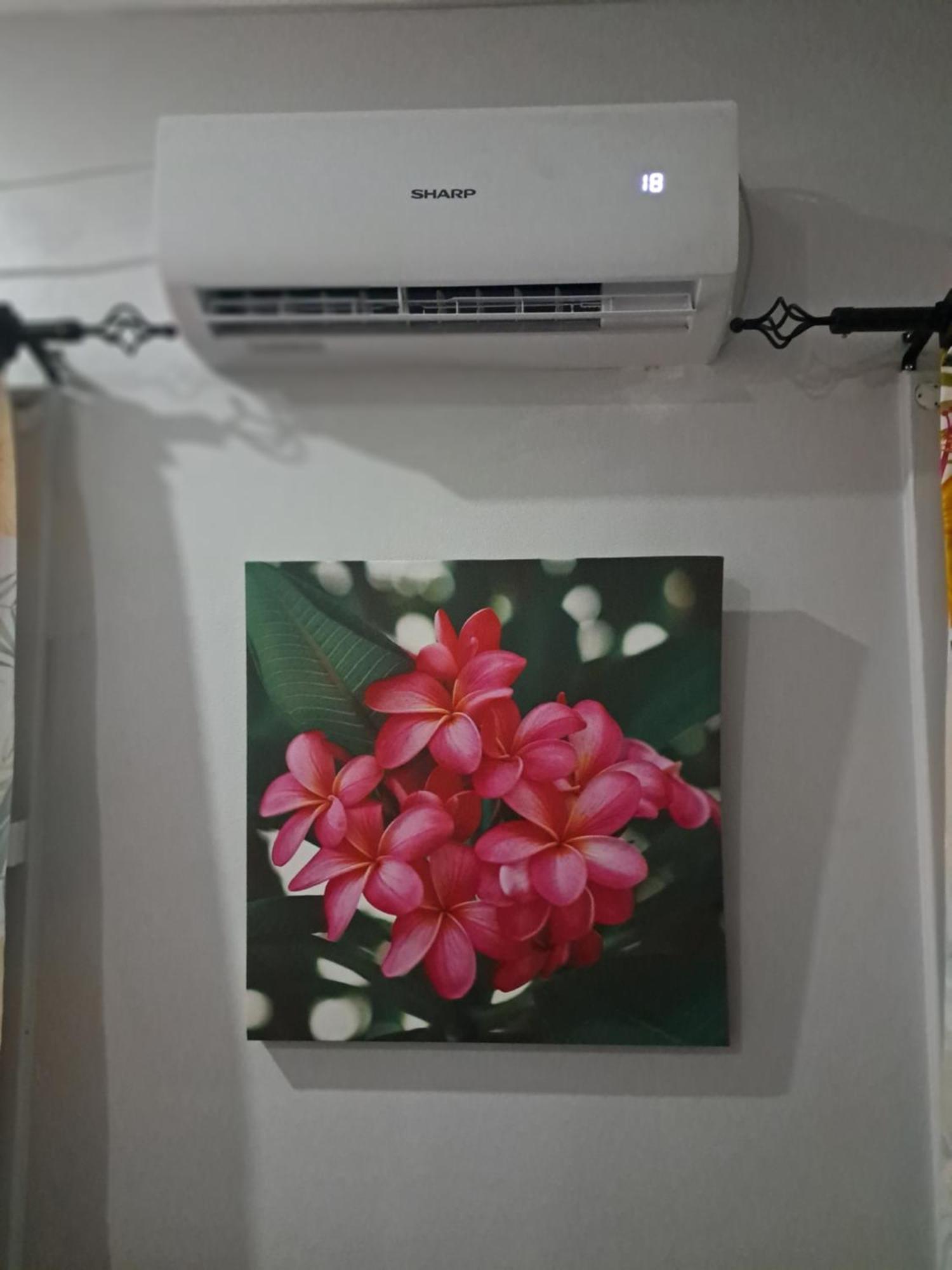 スバ Tropical Almond Haven Bed & Breakfast エクステリア 写真